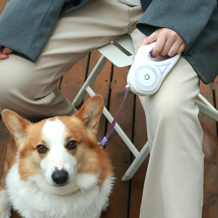 LED Waterproof Dog Leash